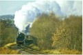 75069 approaches Foley Park tunnel