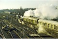 75069 leaves Kidderminster