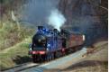 828 and the Jinty drift down from Foley Park tunnel