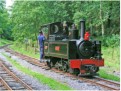 &quot;Sgt. Murphy&quot; runs round at Henllan