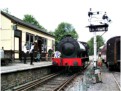 &quot;Welsh Guardsman&quot; at Bronwydd Arms