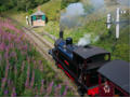 Away past the signal box