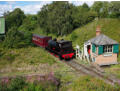 Twizell is back from Sunniside
