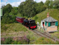 Twizell is back from Sunniside