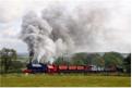 6 - smoke and steam - Wimblebury and 2842 (and diesel banker)