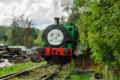Percy the Peckett in action at Titley