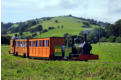 Jack in the Rhiw Valley