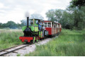 Pixie on the passenger train