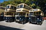 A fine array of Birmingham half-cabs