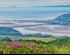 1 C HUGHES Barmouth Bridge from the foothills of Cadair Idris 